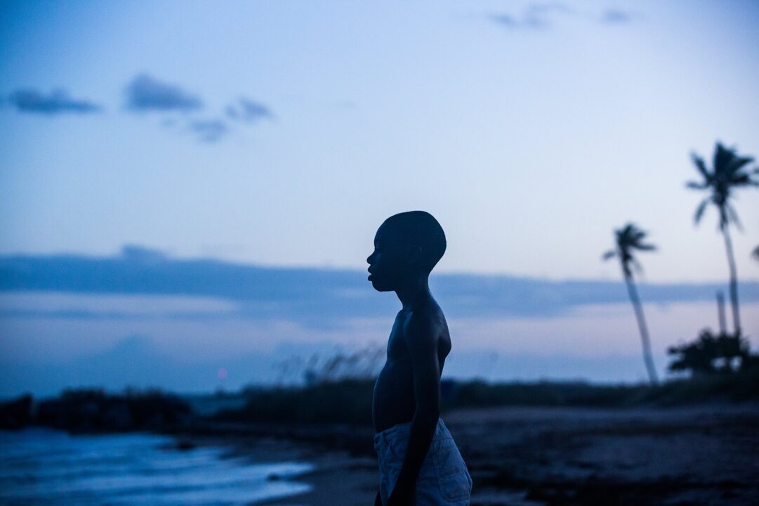 Moonlight las cosas felices critica analisis
