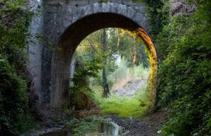 bosque de sarria lugo elfos