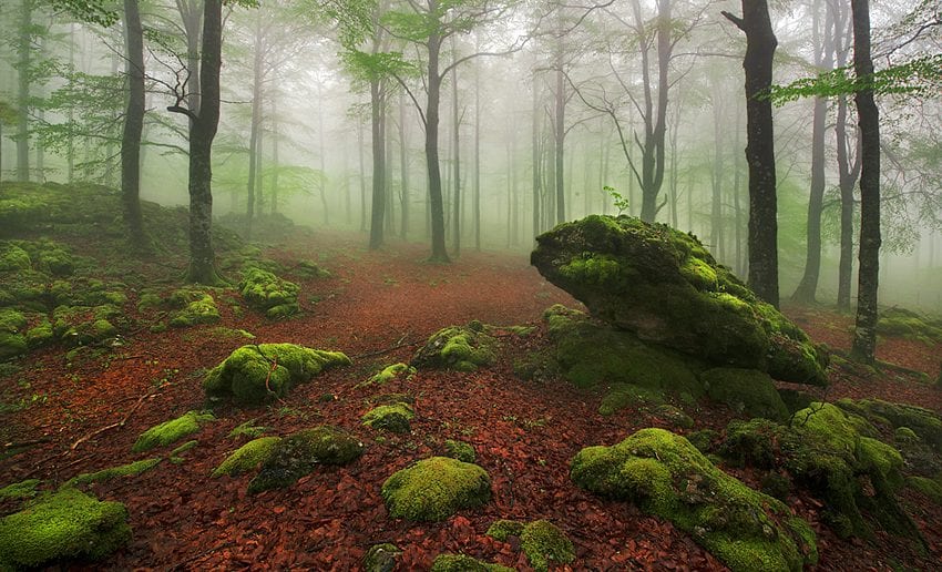 bosque encantado urbasa