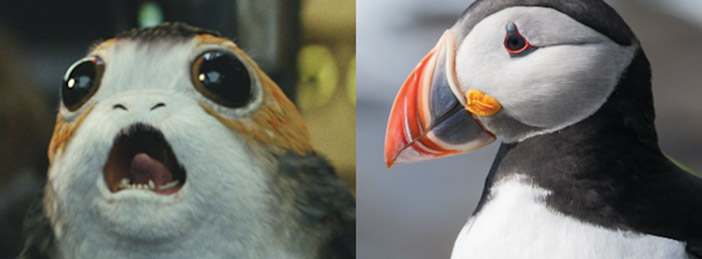 porgs