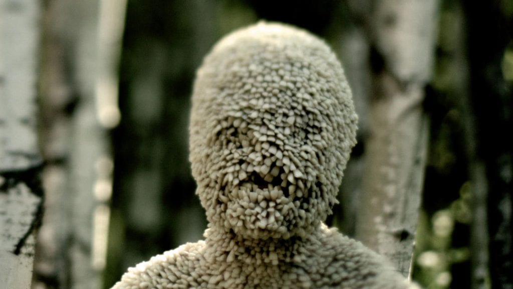 channelzero