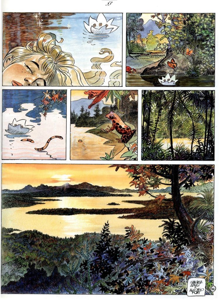 la flor del nuevo mundo cosas felices 2