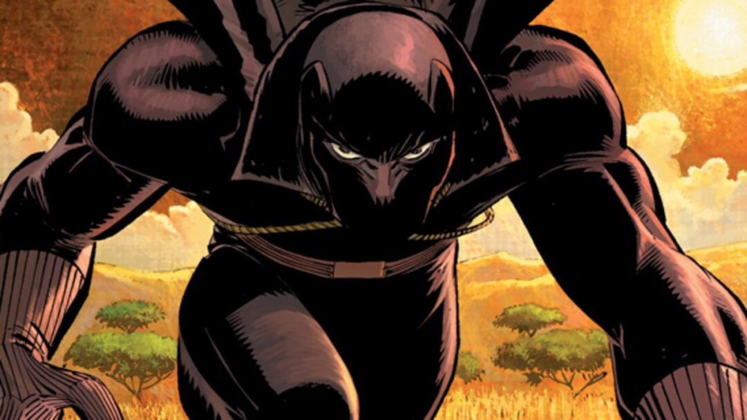 Reseña de Pantera Negra: ¿Quién es Pantera Negra?