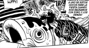 910 luffy