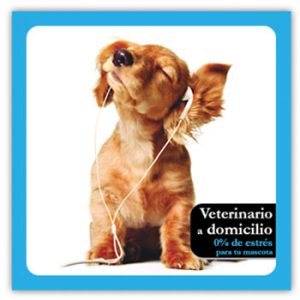 Diseños de flyers que inspiran 2