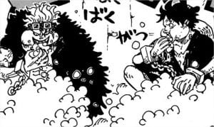 926 luffy kidd