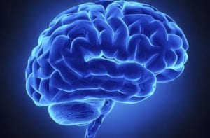 El hombre que evolucionó 2 Las cosas que nos hacen felices