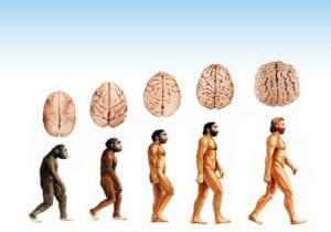 El hombre que evolucionó 3 Las cosas que nos hacen felices