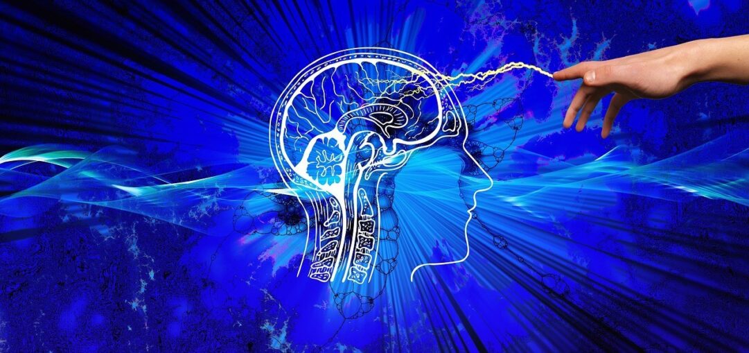 Los relatos que me hicieron feliz: El hombre que evolucionó