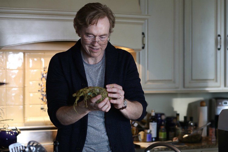 Jason Woodrue in Swamp Thing