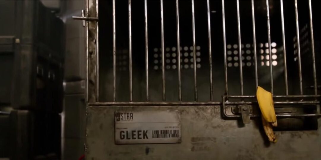 cirsis on infinite earthsgleek