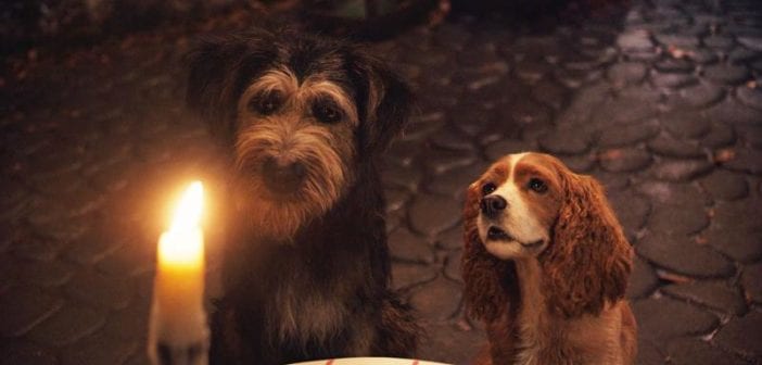 49058324537 92e14aee77 o