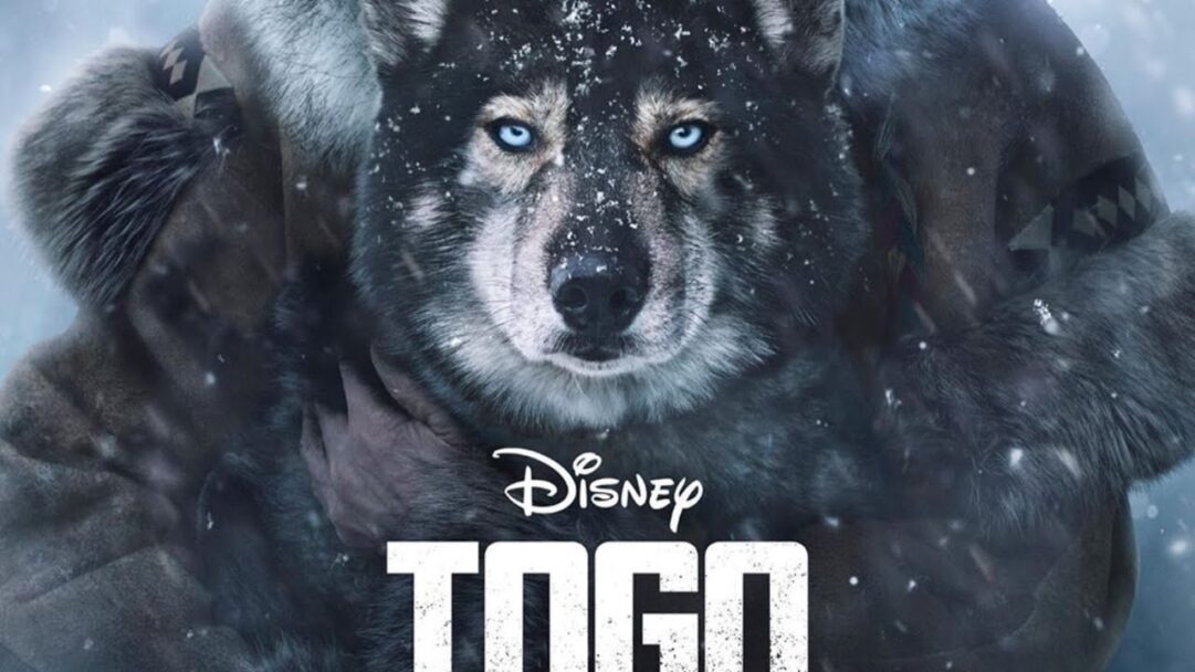 Crítica de Togo: Una de las mejores propuestas del catálogo de Disney+ para ver juntos en familia