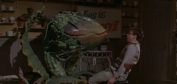 little shop of horrors 04 0