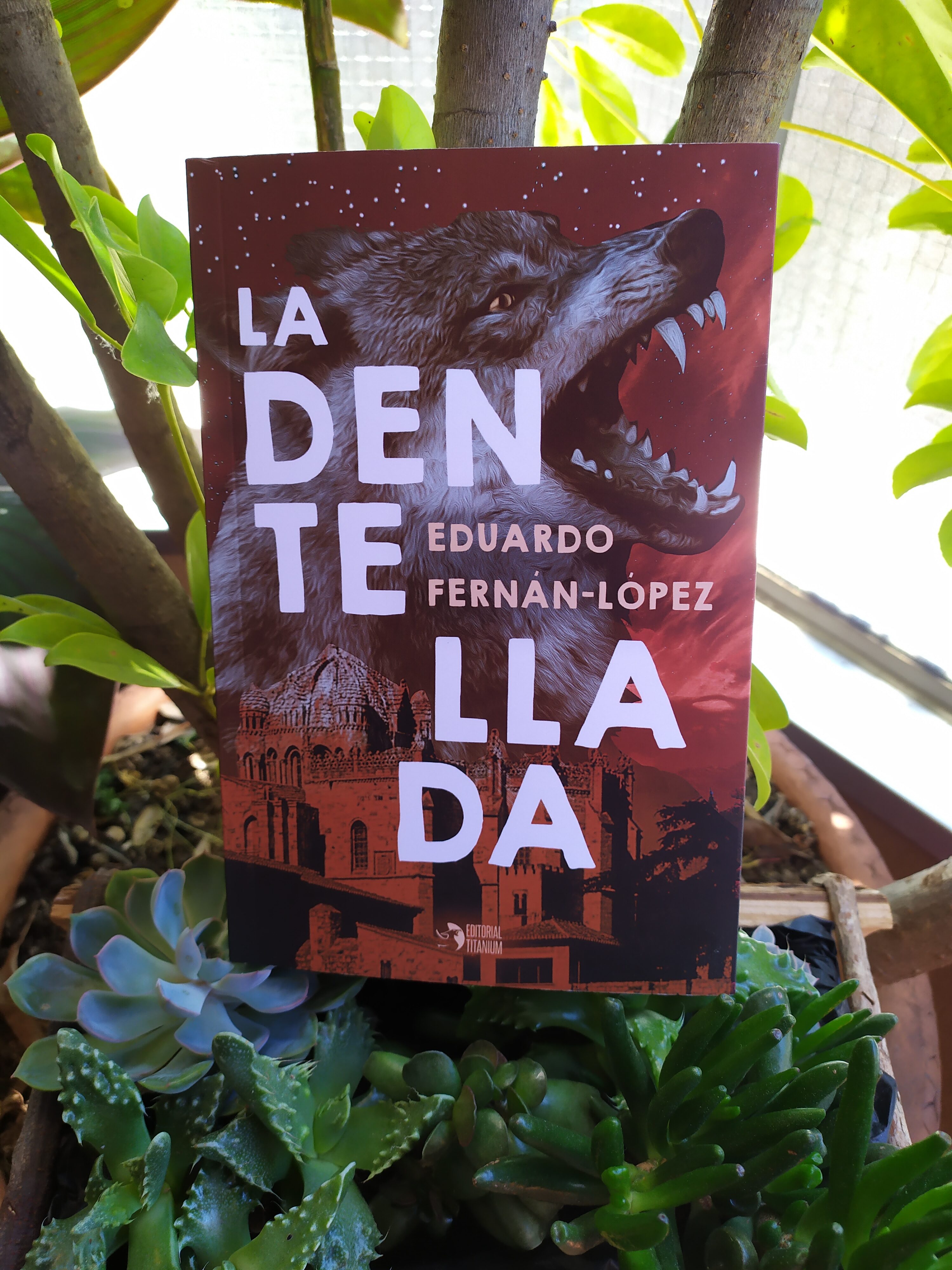 la dentellada