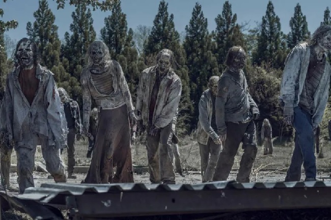 the-walking-dead
