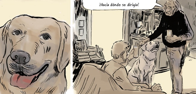 perro