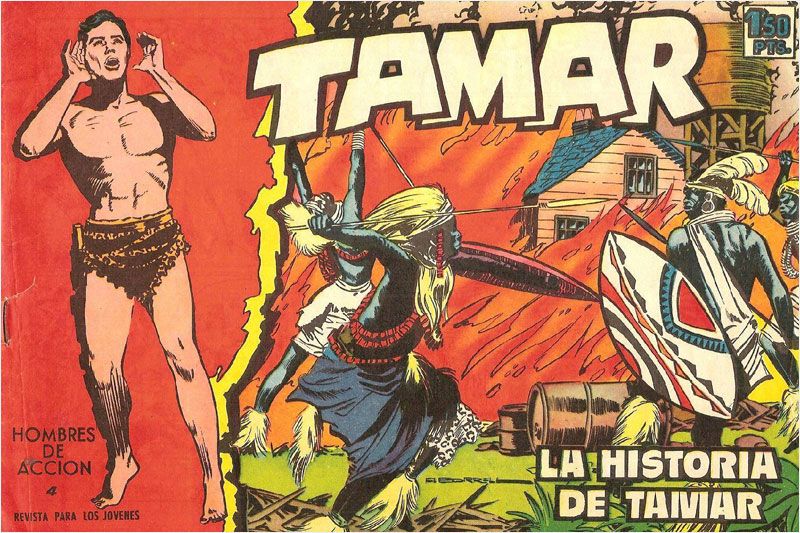 tamar las cosas felices 01
