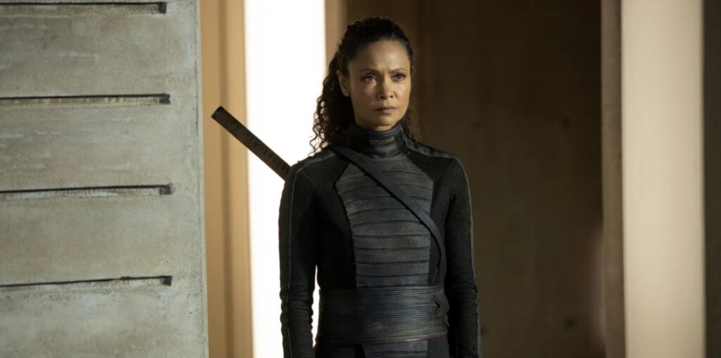 westworld cancelada las cosas felices.04