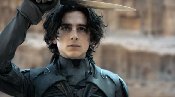 thimothee chalamet