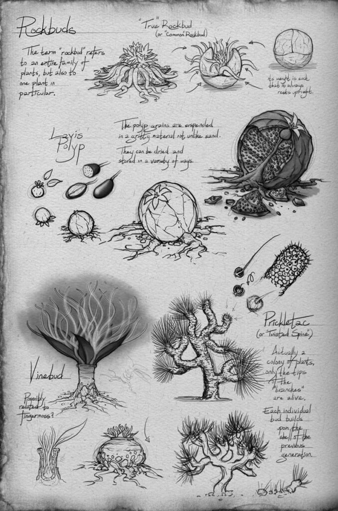 Sabarial Roshar Guía del Cosmere: Geografía de Roshar (sin spoilers) - Las cosas que ...