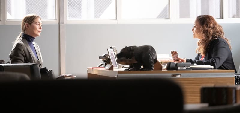 Estrenos de Disney Plus para julio 2024