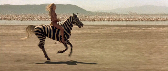 sheena las cosas felices.03 e1719677700971