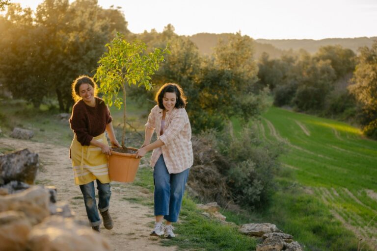 Las 10 mejores películas españolas de 2024