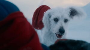 superman krypto