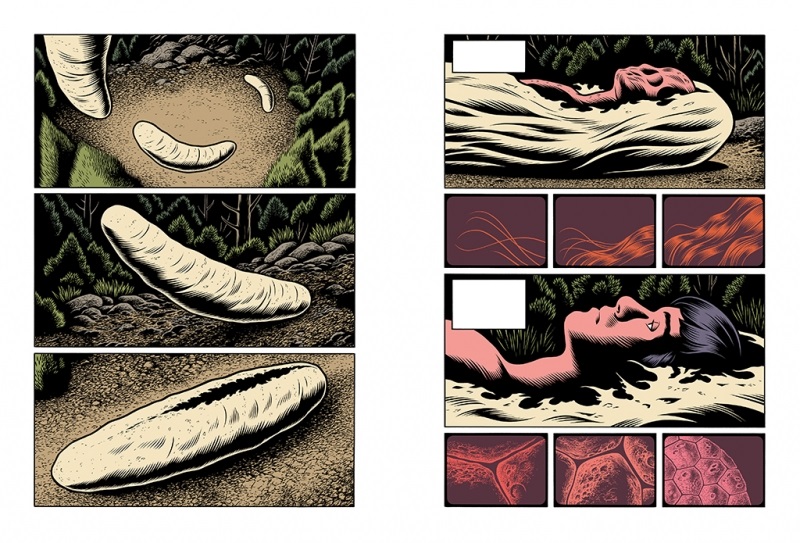 Reseña de Laberintos de Charles Burns edición ómnibus: Entre sombras y metamorfosis