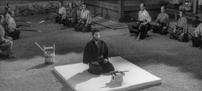 dsc 00081 e1769322421593